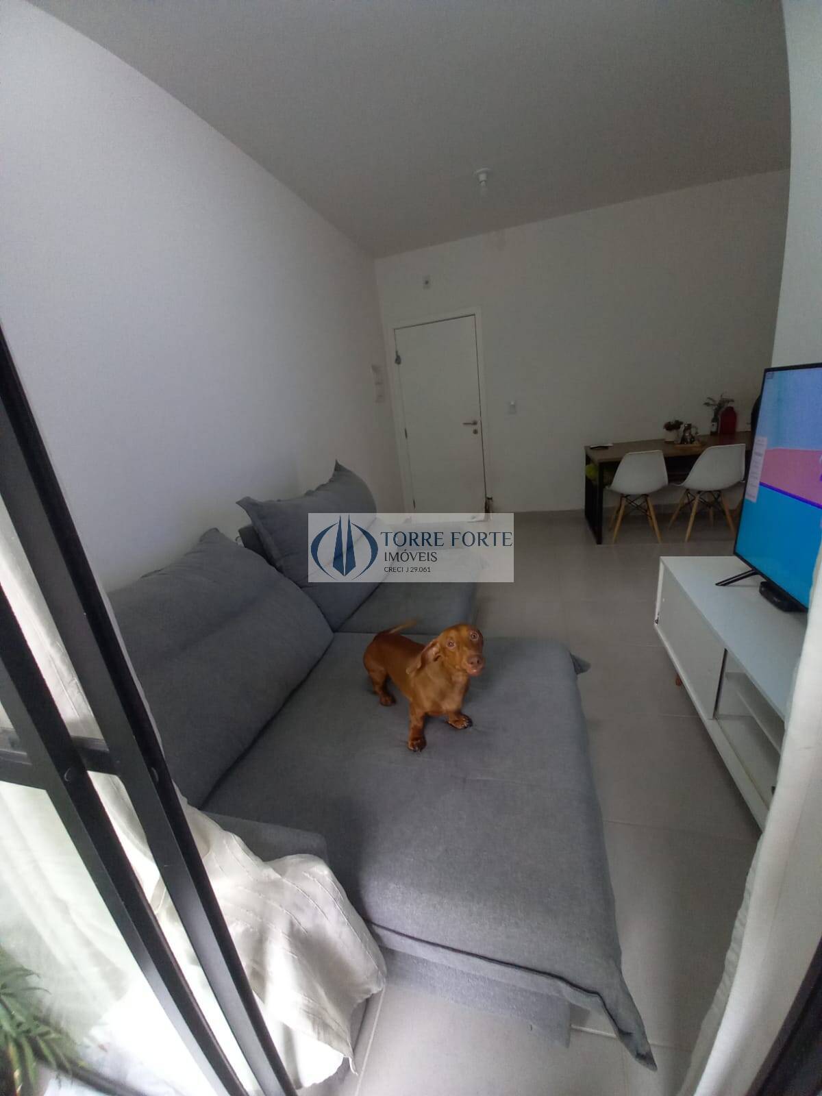 Apartamento à venda com 2 quartos, 58m² - Foto 5