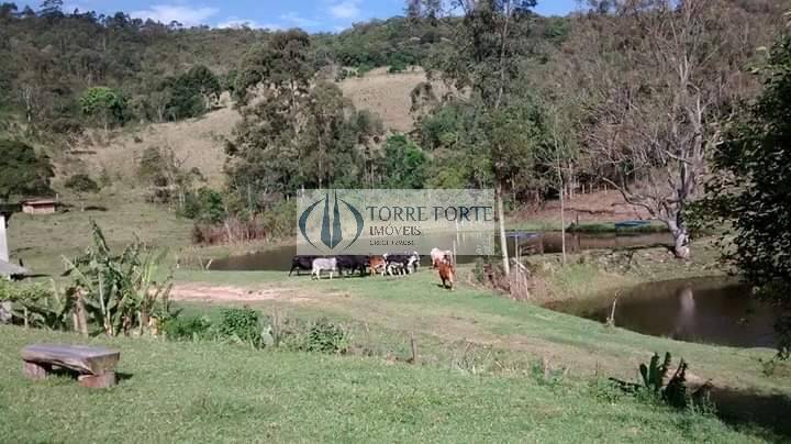 Fazenda à venda com 4 quartos, 726000m² - Foto 5