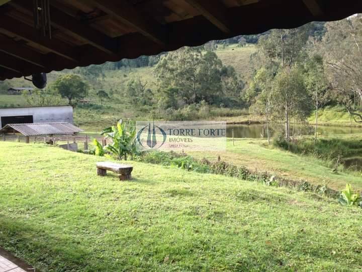 Fazenda à venda com 4 quartos, 726000m² - Foto 21