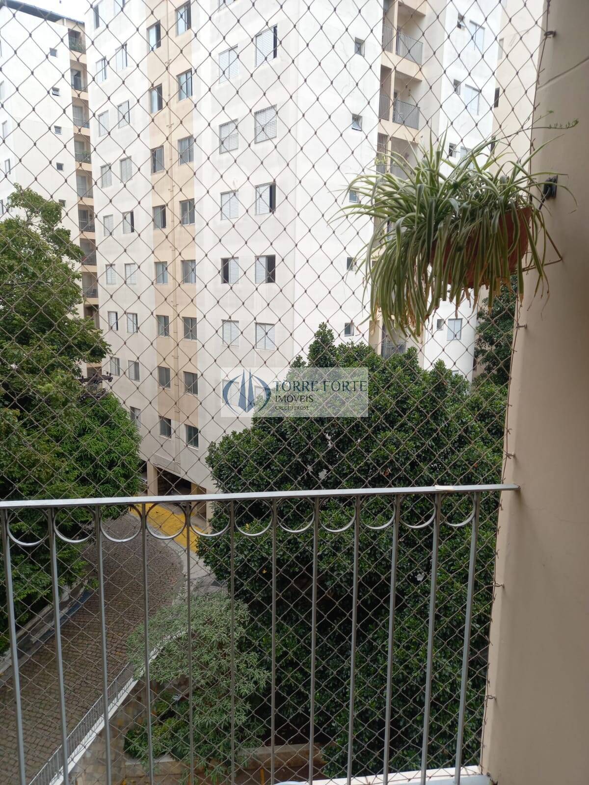 Apartamento à venda com 3 quartos, 75m² - Foto 1