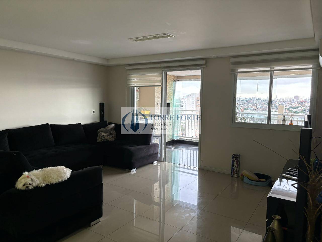 Apartamento à venda com 3 quartos, 134m² - Foto 10