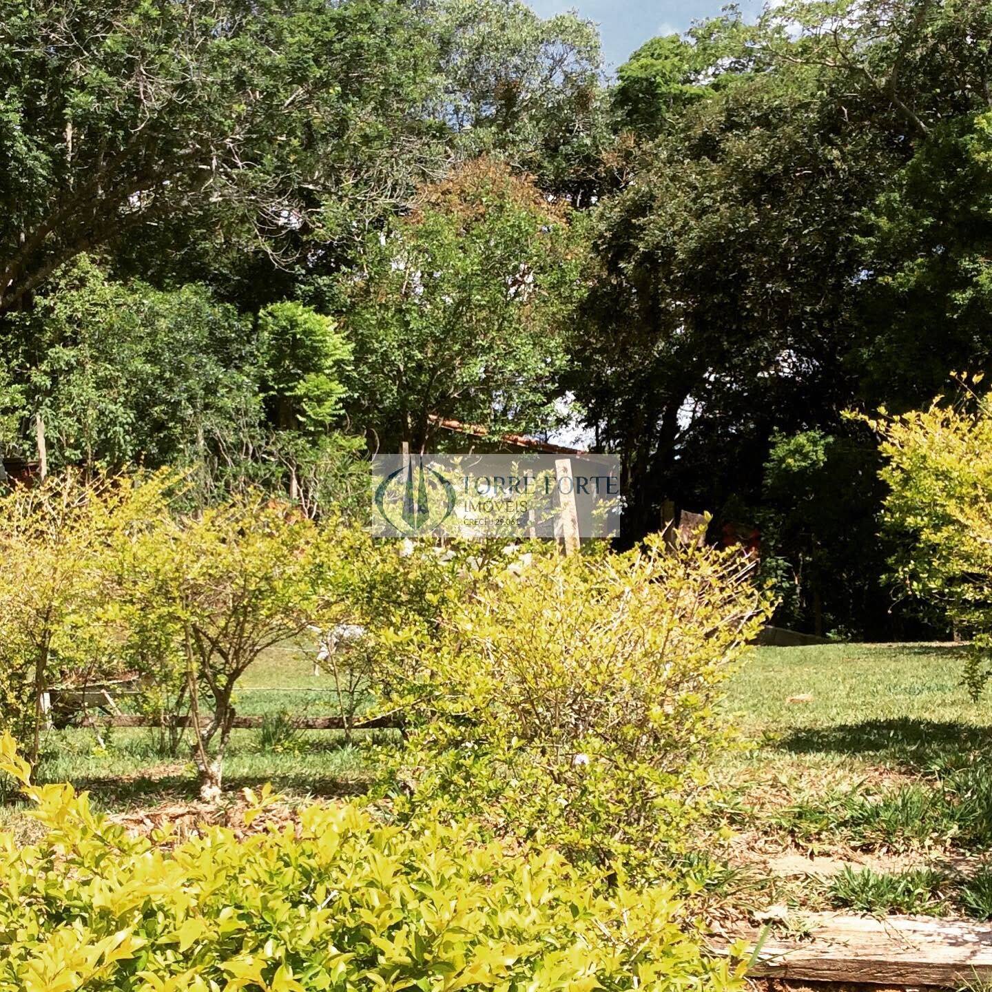 Fazenda à venda com 3 quartos, 8000m² - Foto 4