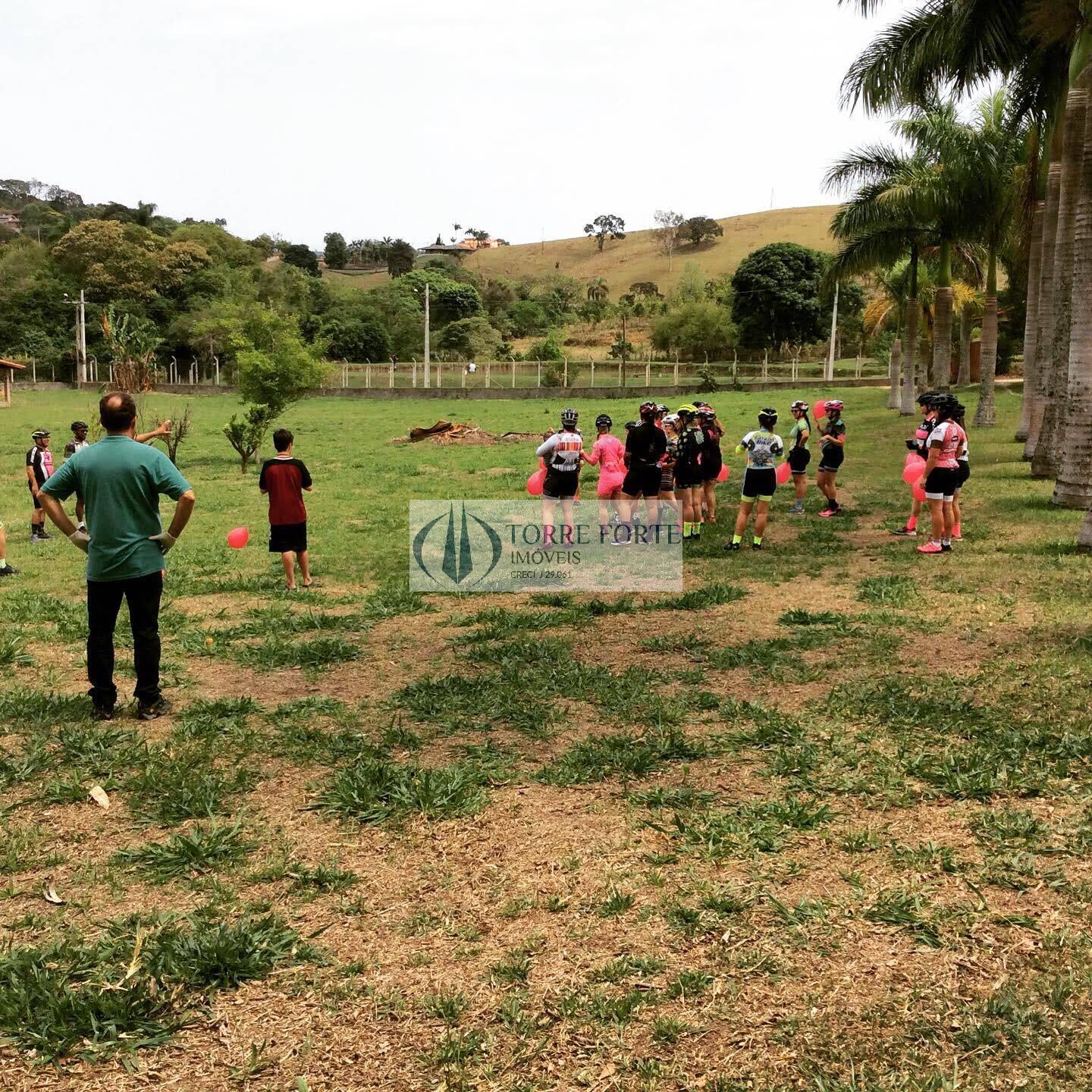 Fazenda à venda com 3 quartos, 8000m² - Foto 6