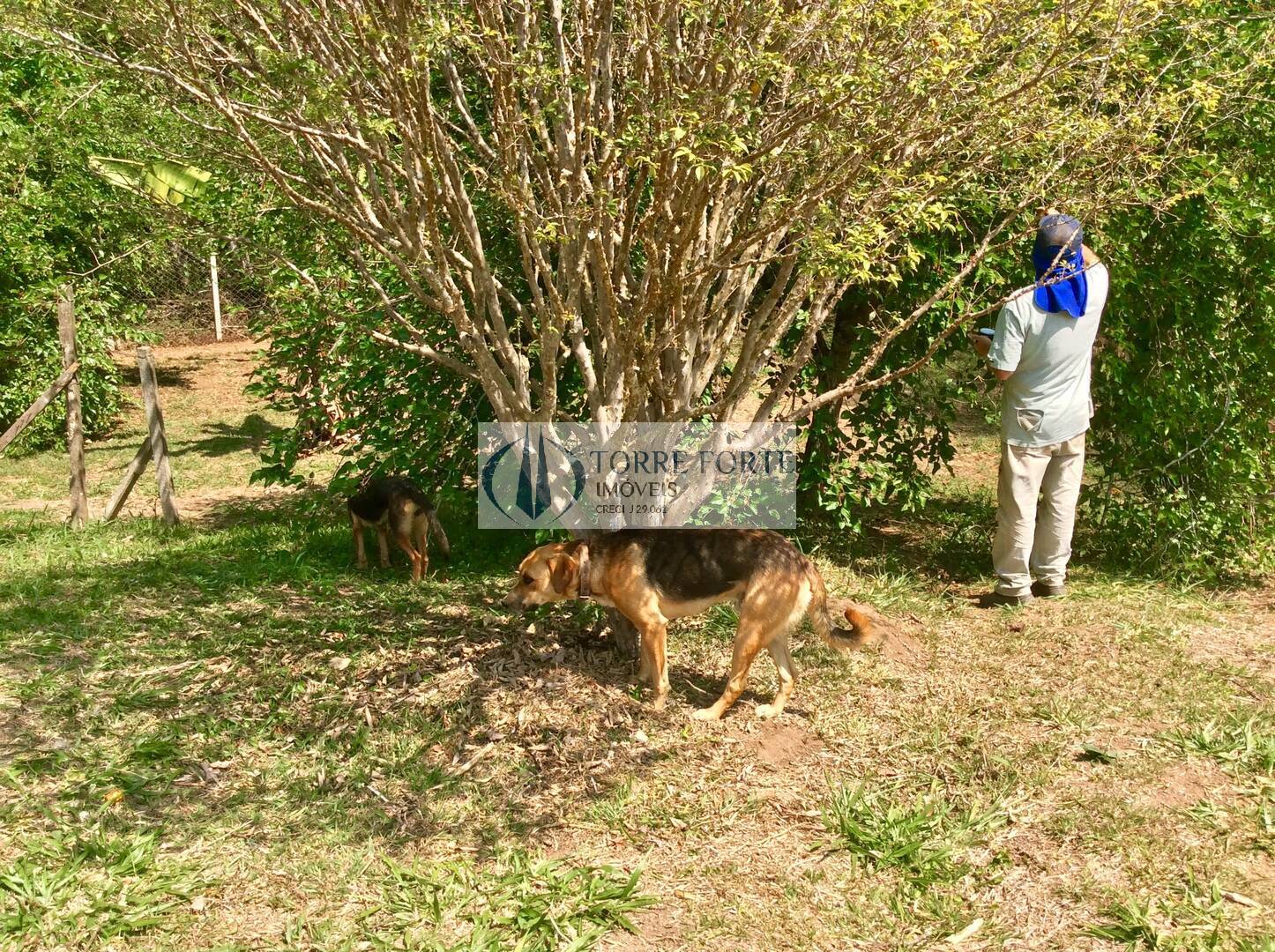 Fazenda à venda com 3 quartos, 8000m² - Foto 14