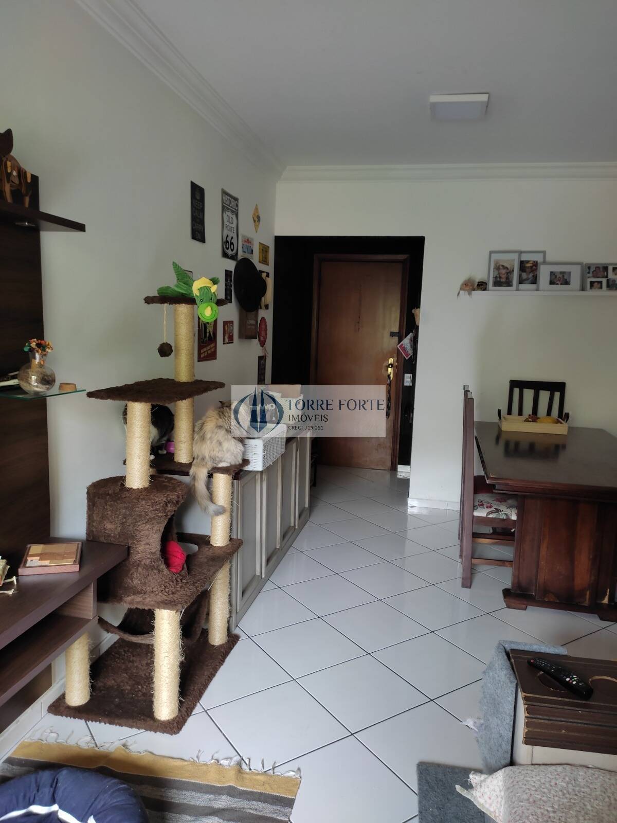 Apartamento à venda com 3 quartos, 70m² - Foto 12