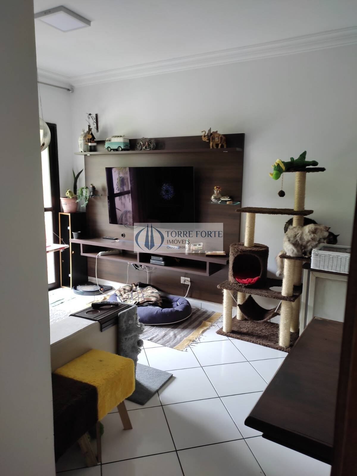 Apartamento à venda com 3 quartos, 70m² - Foto 13