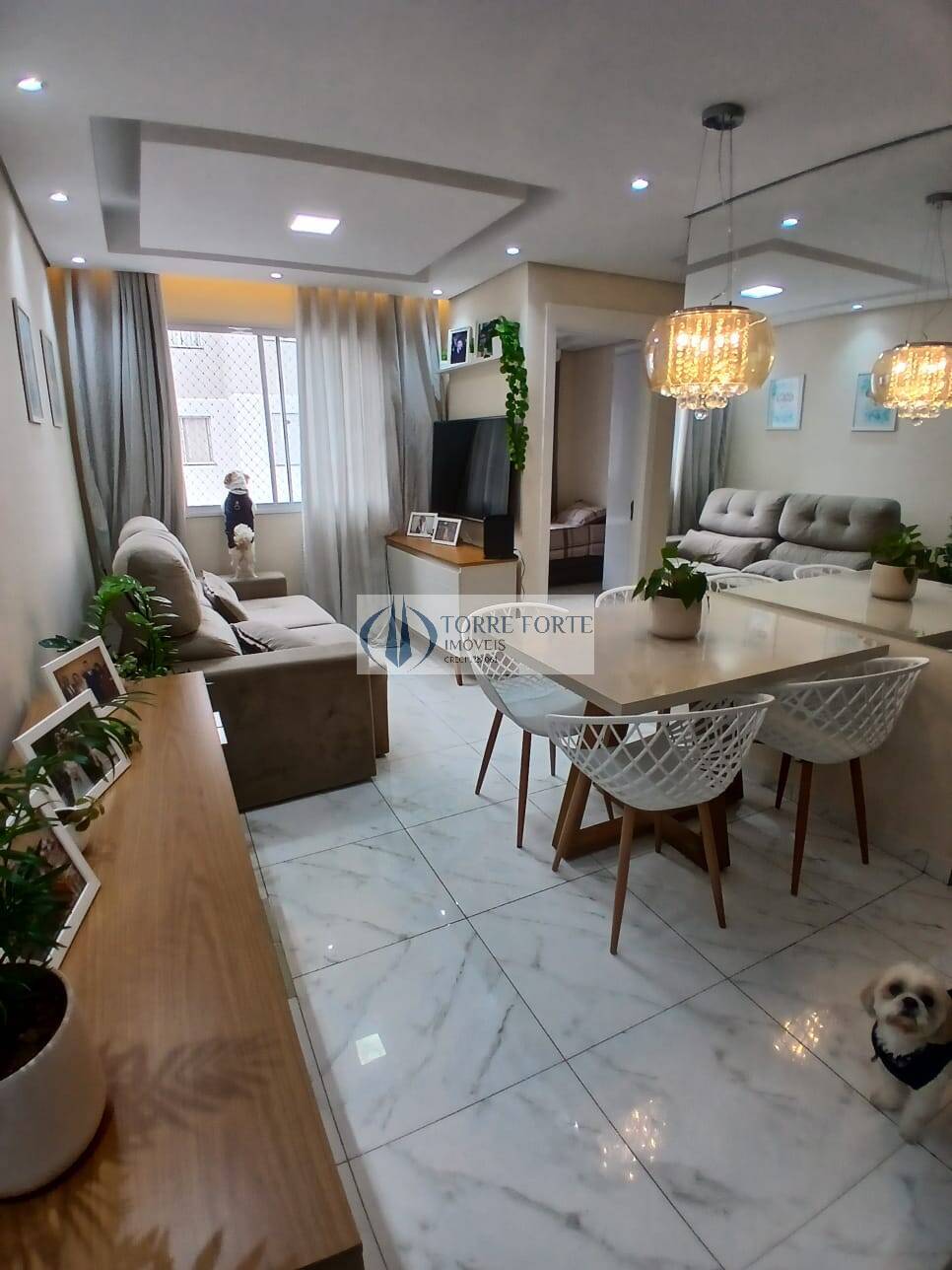 Apartamento à venda com 2 quartos, 45m² - Foto 1