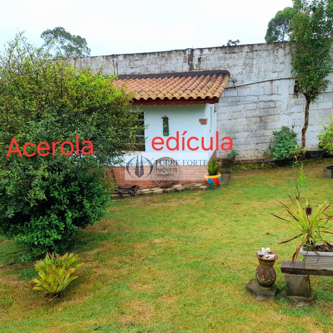 Fazenda à venda com 3 quartos, 143m² - Foto 19