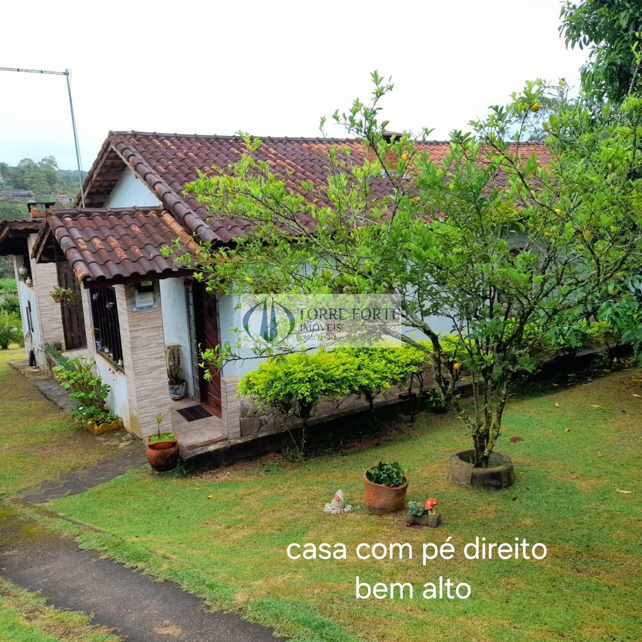 Fazenda à venda com 3 quartos, 143m² - Foto 27