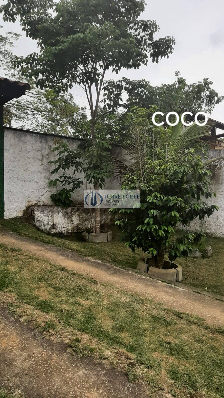 Fazenda à venda com 3 quartos, 143m² - Foto 31